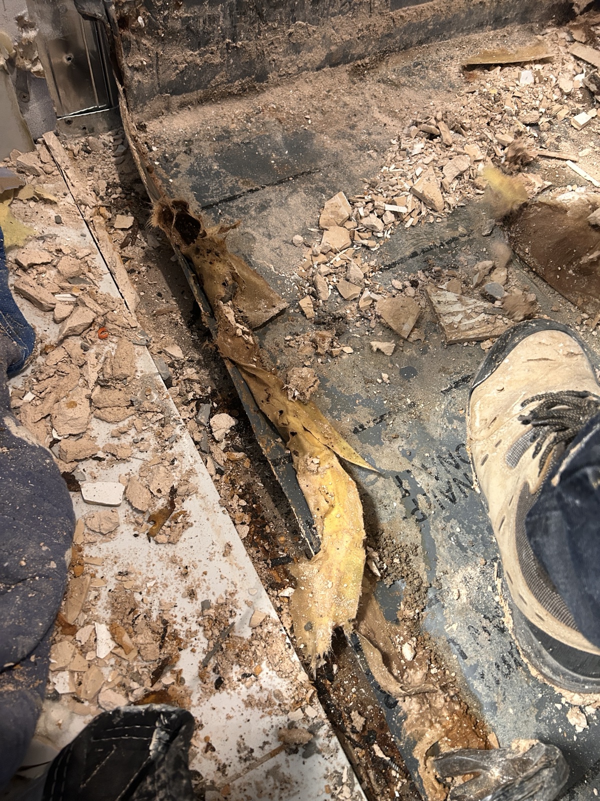 Bathroom floor and wall area opened during renovation