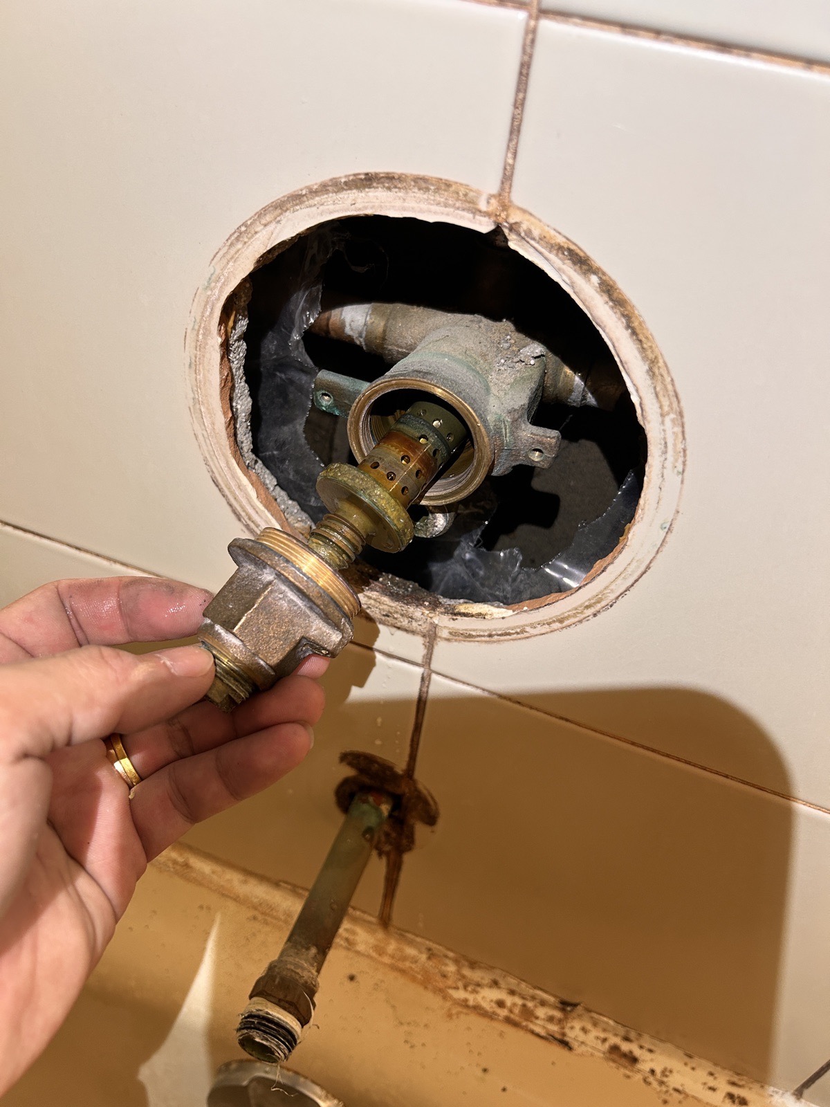 Internal shower valve control assembly removed for inspection